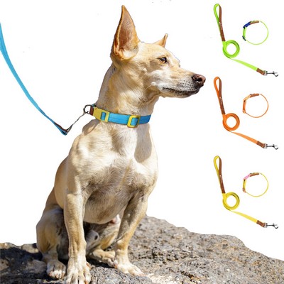 Pet Leash with Collar Set